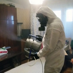 Дезинфекция от клопов в Нижней Туре