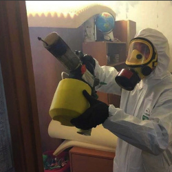Уничтожение клопов в квартире. Нижняя Тура